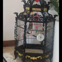 قفس پرنده سبک اژدها