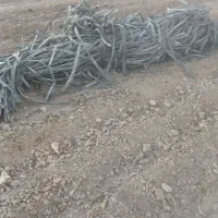 ضایعات خردارم|خدمات پیشه و مهارت|گلبهار, شهر جدید گلبهار|دیوار