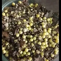 حلزون|خزنده|چهاردولی, |دیوار