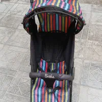 کالسکه دلیجان صحیح سالم