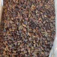 کشمش آبگیری کاشمر|خوردنی و آشامیدنی|یزد, |دیوار