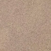 بذرو یاتوم اصلی و با ضمانت رشد و تضمین کیفیت