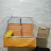 فروش قفس به همراه لونه