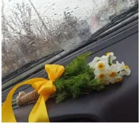 مـربی آمـورش رانندگـی
