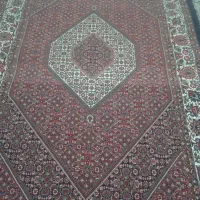 فرش دست بافت تازه ازدارافتاده|فرش|زنجان, |دیوار
