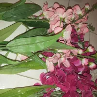 گل شاخه ای خارجی