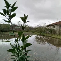 خانه ویلایی روستایی نزدیک باغ پرندگان