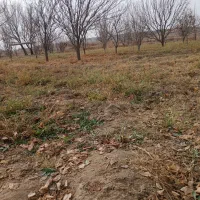 یونجه انباری