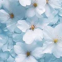 فروش زمین مناسب گلخانه در قهریزجان