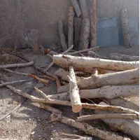خریدار چوب خشک