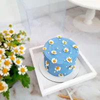 بنتو کیک دو سه نفره|خوردنی و آشامیدنی|باقرشهر, |دیوار
