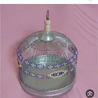 سهره قناری خاکی قفس گرد