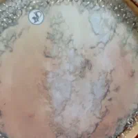 دف دربندی|سازهای سنتی|یزد, |دیوار