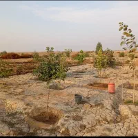 زمین-باغ-ویلا-هندیجان