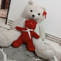 دو عروسک خرسی