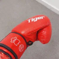 کیسه بوکس دیواری|تجهیزات ورزشی|رامهرمز, |دیوار