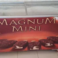 فریزر بستنی ۶۰۰ لیتری