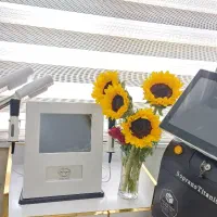 لیزر موهای زائد.فیشال.پلاژن تراپی