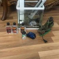 آکواریوم ماهیران شرکتی