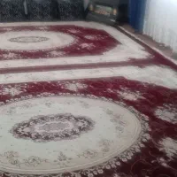 دوعدد فرش|فرش|میان ولایت, |دیوار