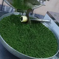 سبزی خرد کن|خردکن، آسیاب، غذاساز|خرم‌آباد, |دیوار