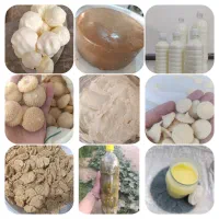 لبنیات محلی و رب گوجه و شوید