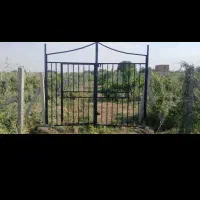 باغ انگور 1300 متری سنددار در منطقه ویلایی|فروش زمین و ملک کلنگی|تاکستان, |دیوار