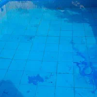 اجاره باغ استخردار شروع قیمت از یک میلیون تومان|اجارهٔ کوتاهمدت ویلا و باغ|کرمانشاه, |دیوار