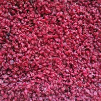 گردو کاغذی|خوردنی و آشامیدنی|رفسنجان, |دیوار