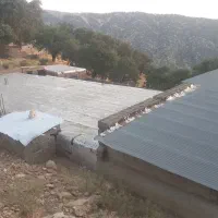 فروش گاوداری سنتی 30راسی