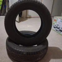 لاستیک۱۴ گلدستون