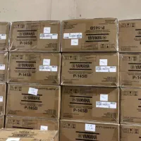 پیانو پرتابل p225 white|پیانو، کیبورد، آکاردئون|کرج, عظیمیه|دیوار