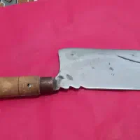 ساکتور نو خوش دست