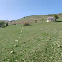 زمین قابل ساخت در ییلاق سیاهکل روی ارتفاع