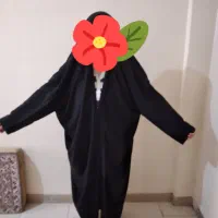 چادر ملی