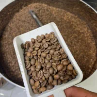 قهوه|عمدهفروشی|اسلامآباد غرب, |دیوار