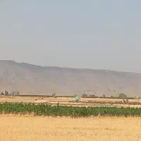 کاه یونجه