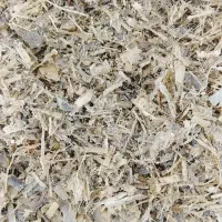 فروش علوفه ذرت