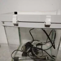 آکواریوم شرکتی