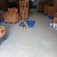 سوله