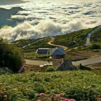 تور ماسال|تور و چارتر|تهران, فردوسی|دیوار