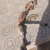کاتالیزور نیسان دوگانه