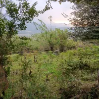 فروش-زمین-و-ویلا-در-جاده-تهران-گیلان