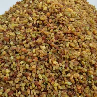 کشمش قوچان