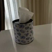 جای دستمال کاغذی