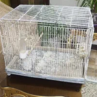 قفس پرنده وخرگوش|لوازم جانبی حیوانات|شاهینشهر, اقبال لاهوری|دیوار