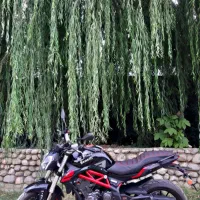 بنلی جفت سیلندر۳۰۰|موتورسیکلت|بروجرد, |دیوار