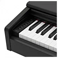 کد۸۸۷۸  Ydp145 Yamaha|پیانو، کیبورد، آکاردئون|تهران, آبشار|دیوار