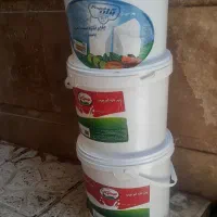 سطل جا پنیر