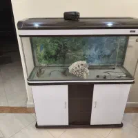 آکواریوم شیشه خم ماهیران ابعاد 40*60*120